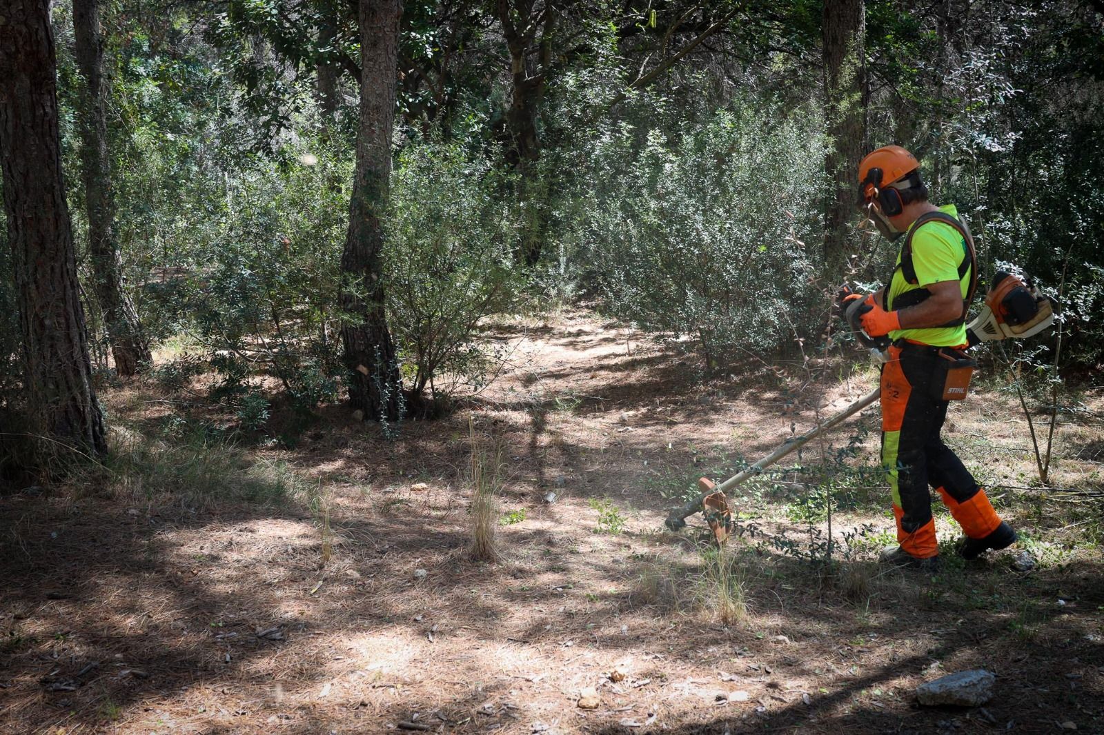 Operari de l'Ajuntament de Torrent en activitats de manteniment i conservació de l'entorn natural