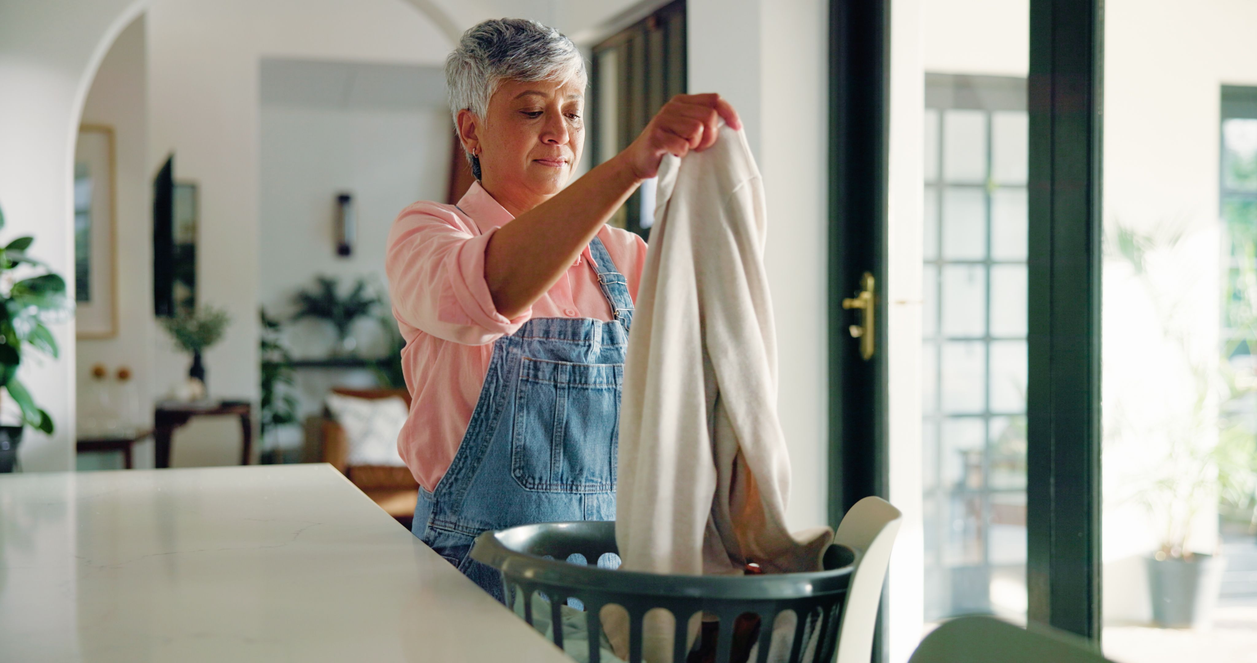 Una mestressa de casa