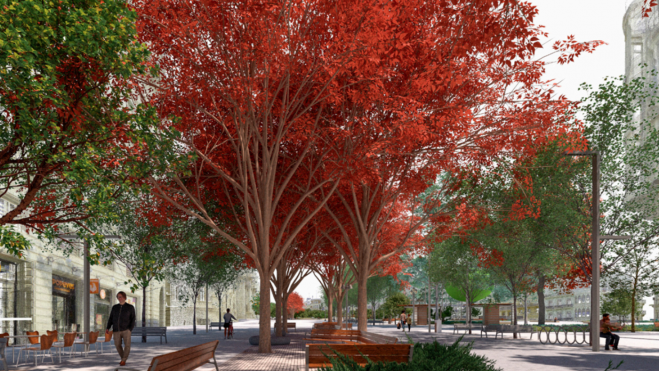 Renovació del Carrer Marqués de Sotelo - Ajuntament de València Renovació del Carrer Marqués de Sotelo - Ajuntament de València