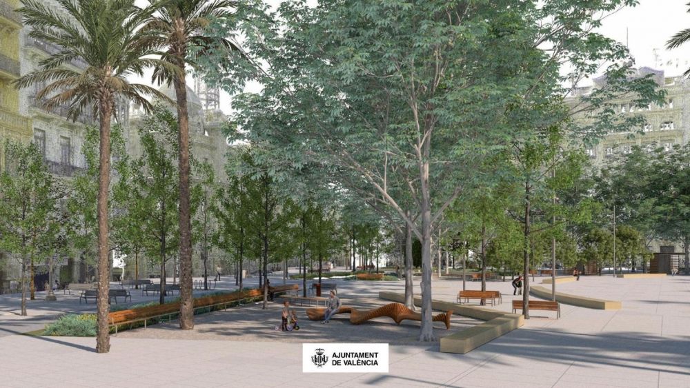 Arbres en la nova Plaça de l'Ajuntament Arbres en la nova Plaça de l'Ajuntament