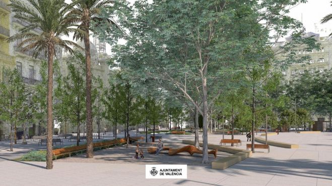 Arbres en la nova Plaça de l'Ajuntament Arbres en la nova Plaça de l'Ajuntament
