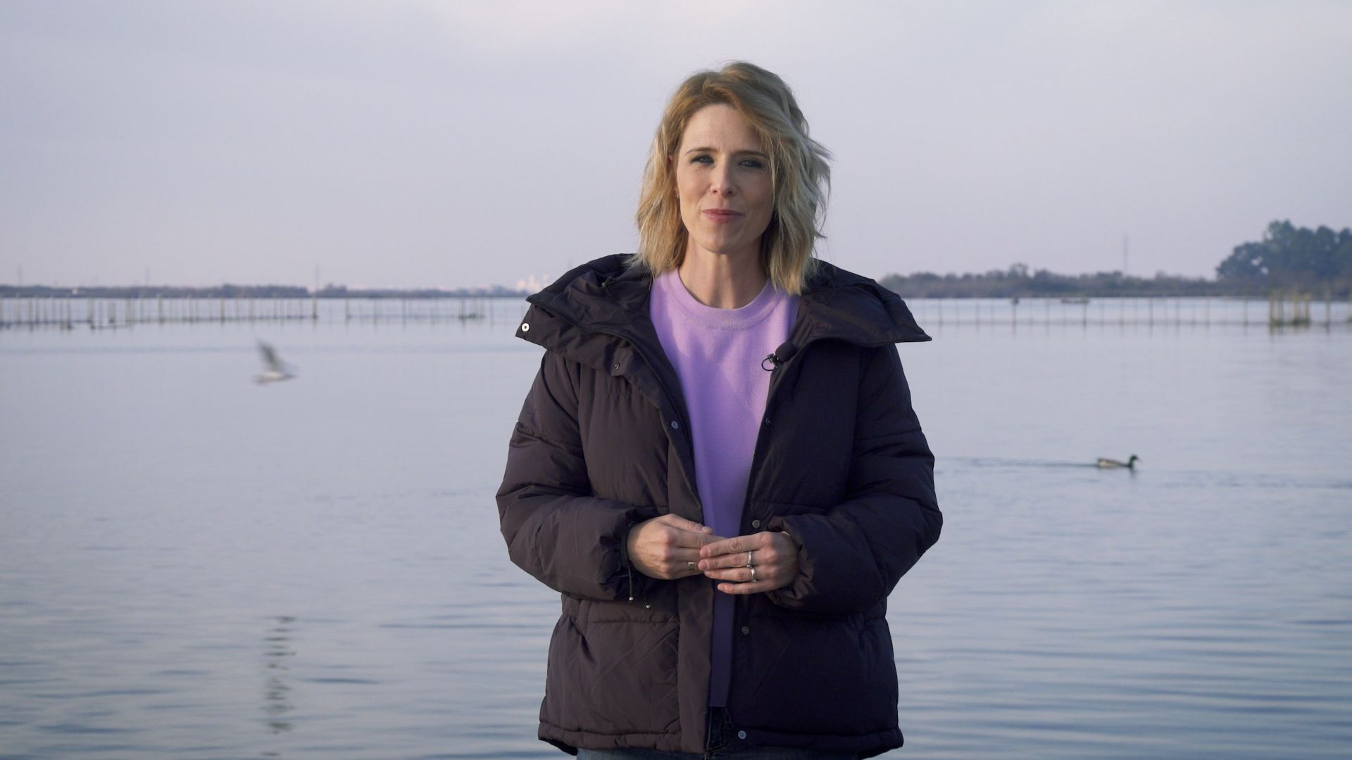 Jose Sáez presenta cada lunes Zoom Jose Sáez presenta cada lunes Zoom