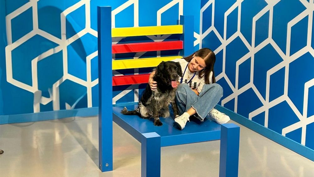 Cadira de Beuchet del MOI