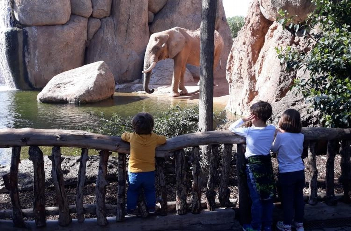 Xiquets al Bioparc