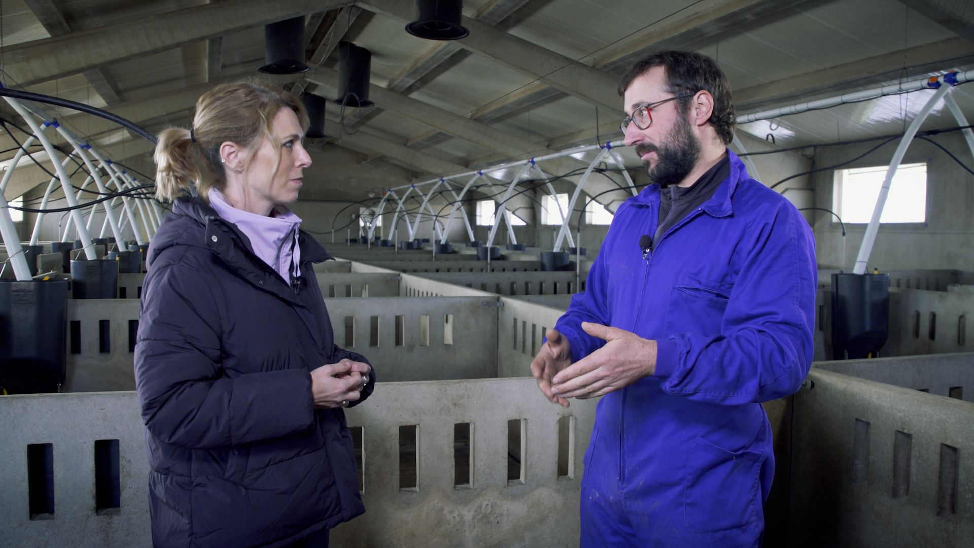 Zoom À Punt Zoom À Punt