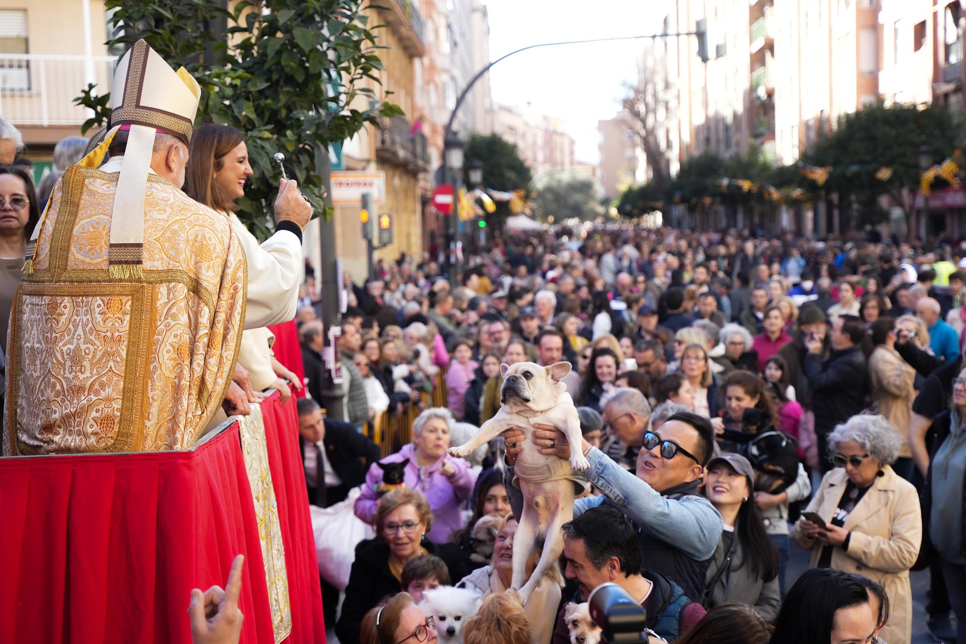 Benedicció d'animals a València