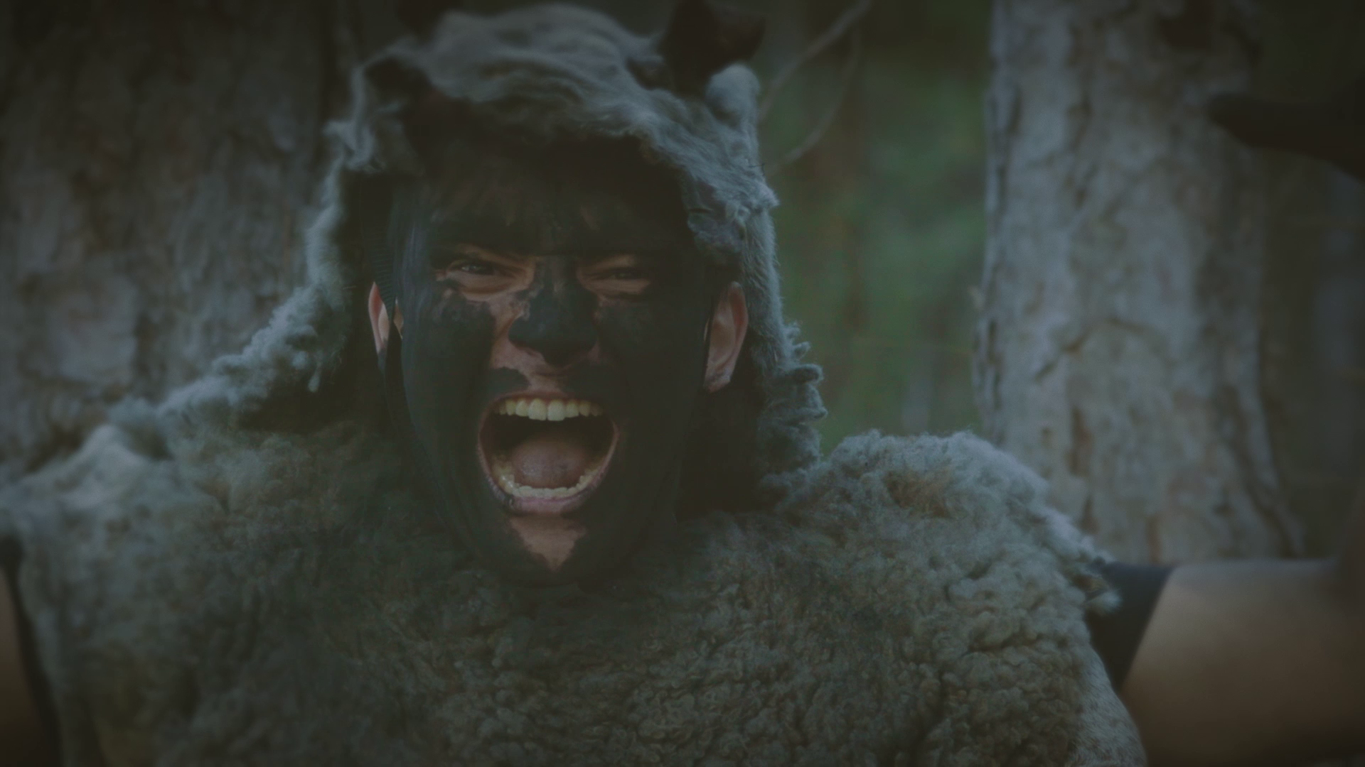 Fotograma de Paisatges en Solsida