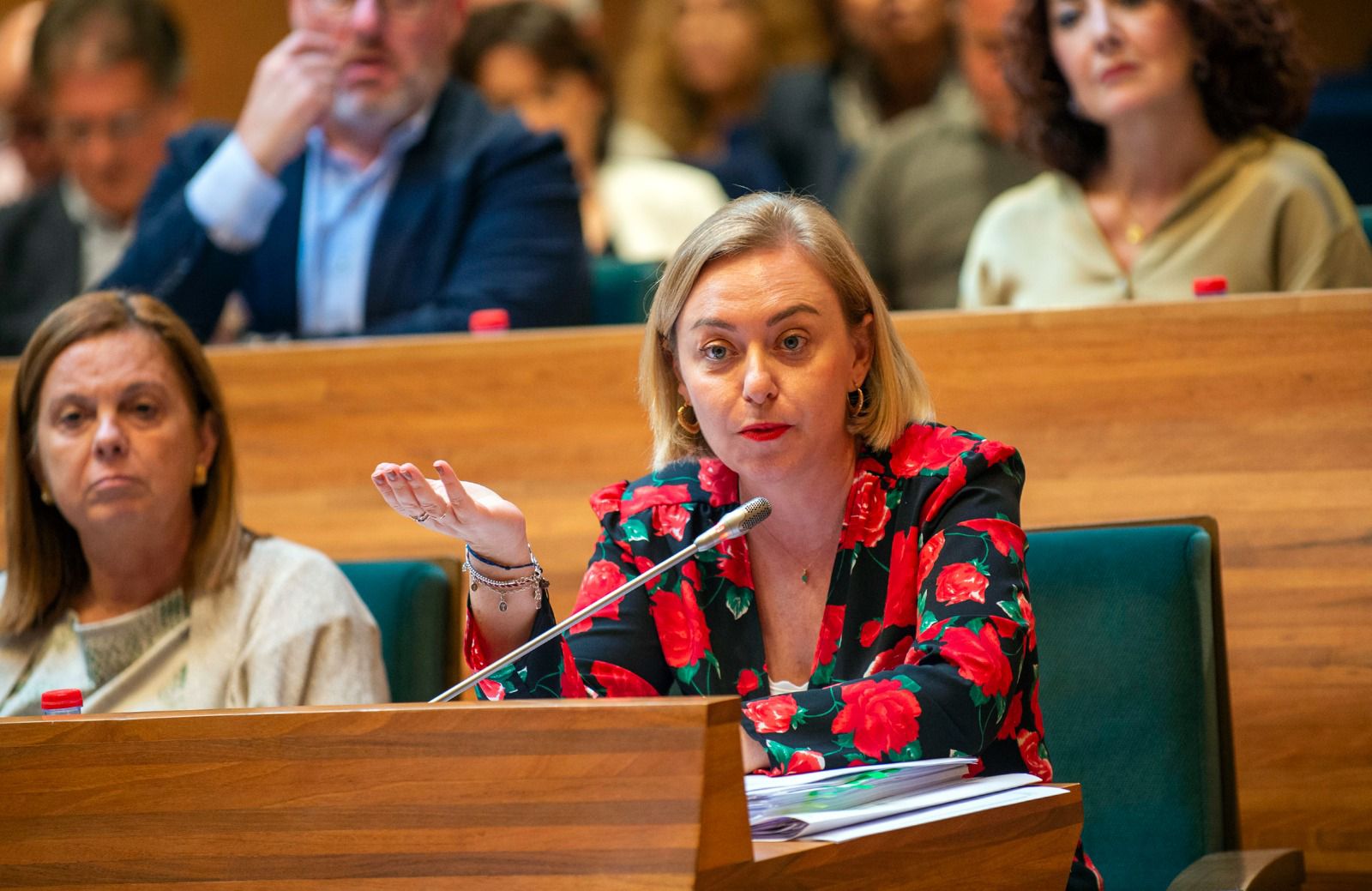 La vicepresidenta primera i diputada d'Igualtat, Natàlia Enguix La vicepresidenta primera i diputada d'Igualtat, Natàlia Enguix