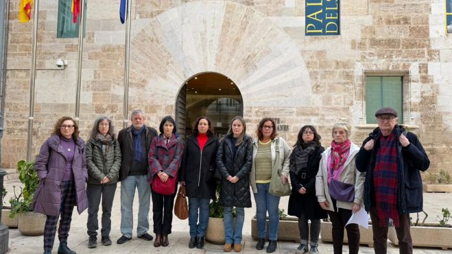 Convocantes manifestación Mazón