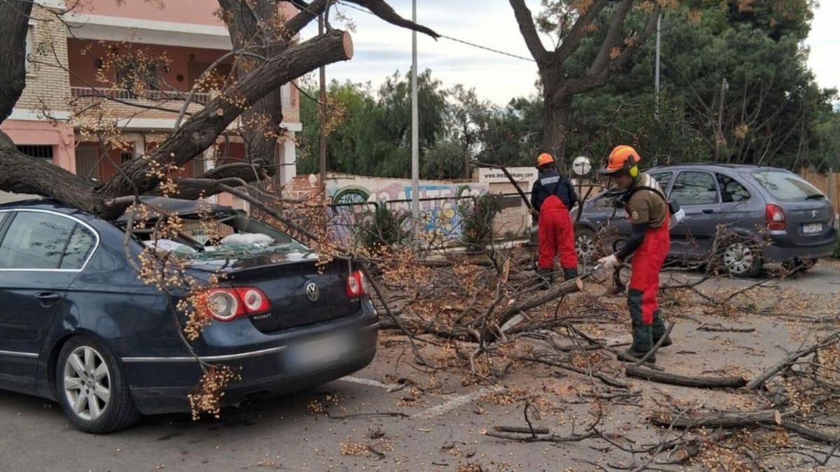 Els bombers de València actuen per la caiguda de diversos arbres pel vent sobre cotxes Els bombers de València actuen per la caiguda de diversos arbres pel vent sobre cotxes