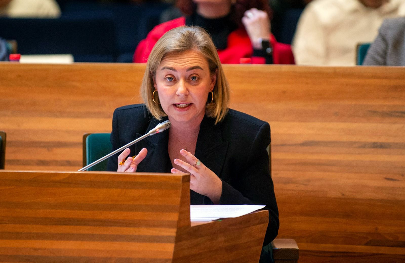 La vicepresidenta primera de la Diputació, Natàlia Enguix