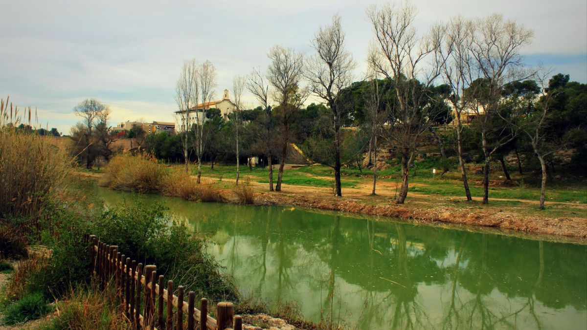 Desembocadura del Río Mijares - Europa Press