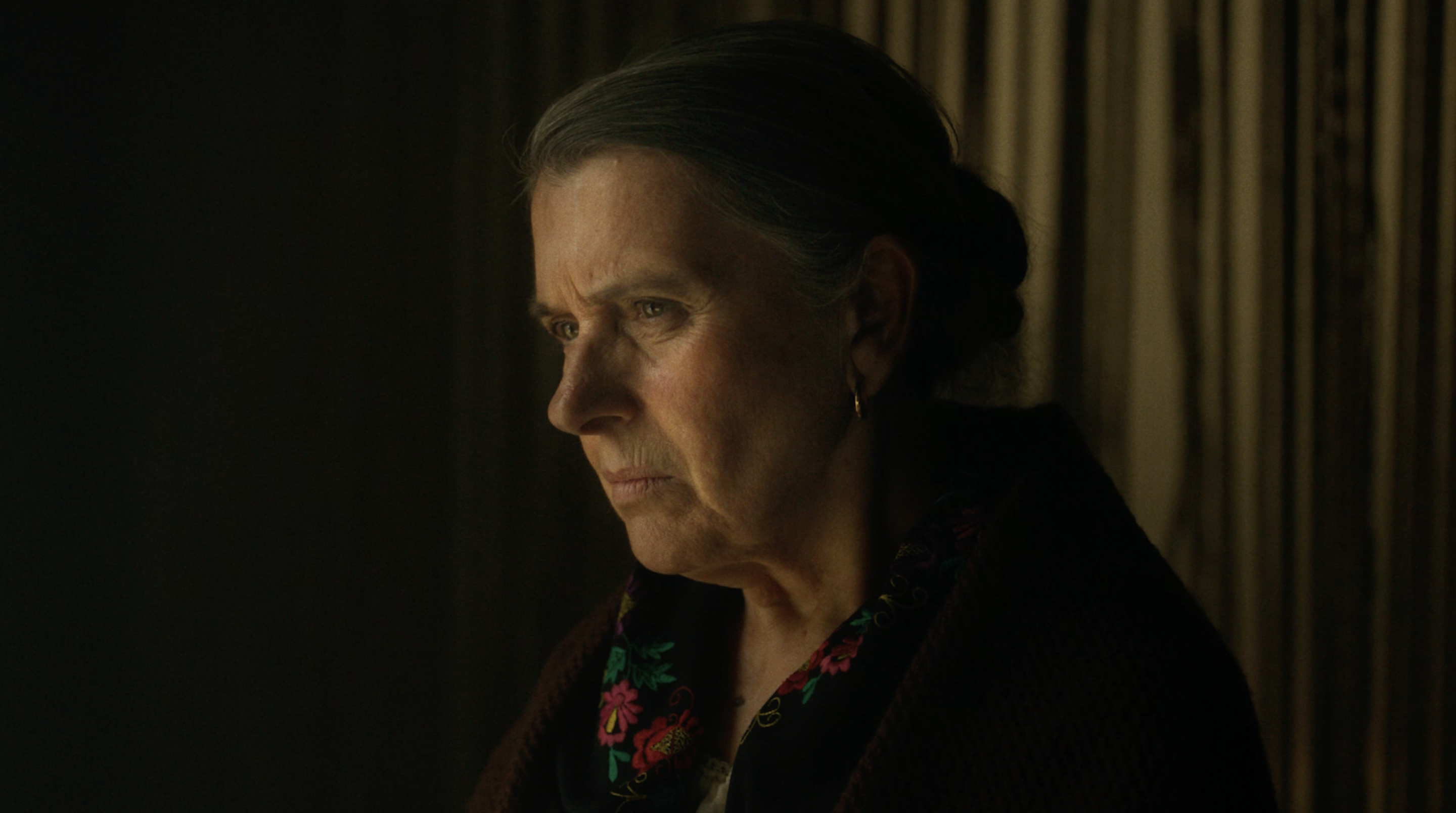 "Costumbristes" Arroç Dacsa "Costumbristes" Arroç Dacsa