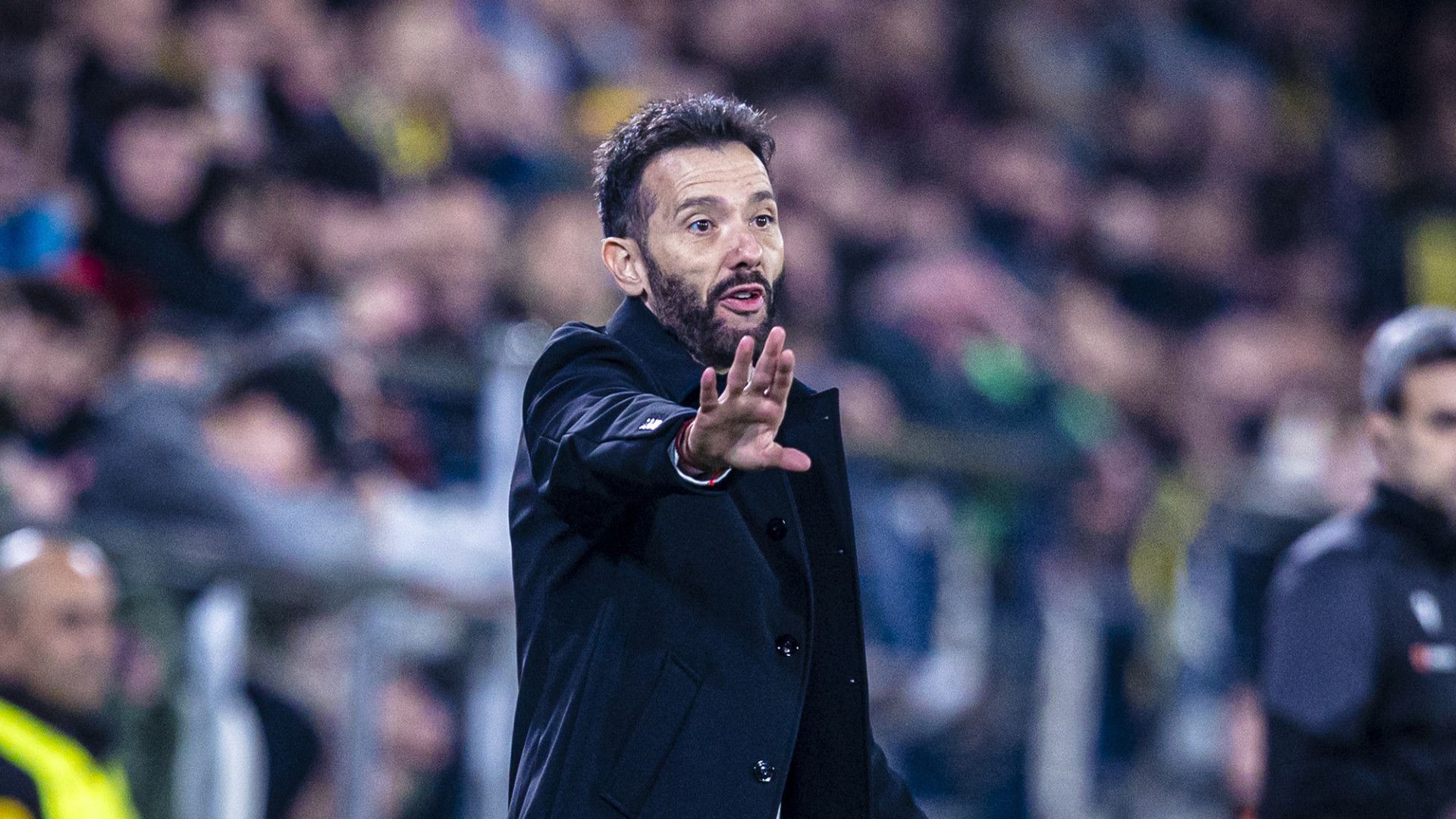 Carlos Corberán, entrenador del València CF Carlos Corberán, entrenador del València CF