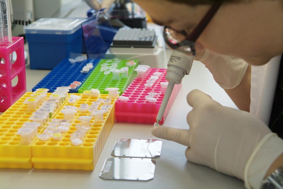 Foto+laboratorio Foto+laboratorio