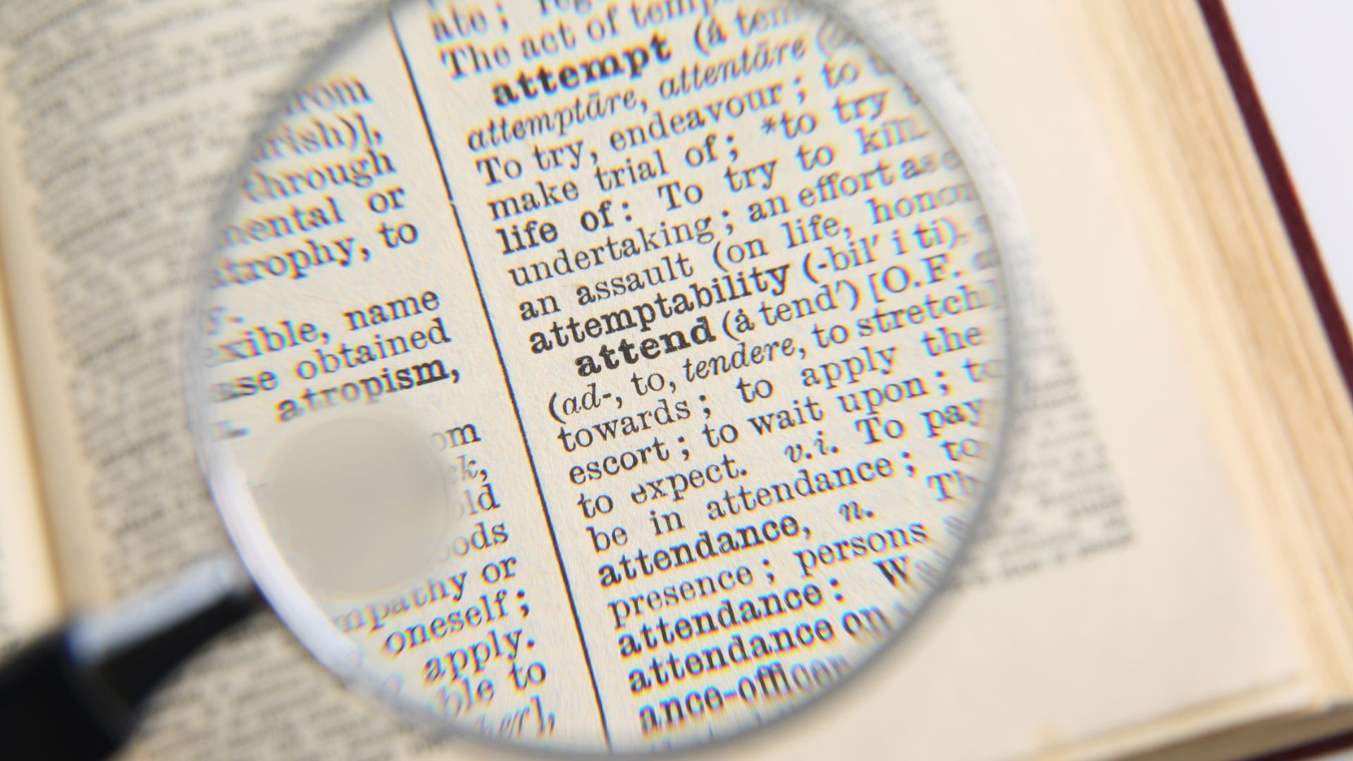 068ca837 5569 1f76 2a75 44f08ae7d47c?version=1 068ca837 5569 1f76 2a75 44f08ae7d47c?version=1