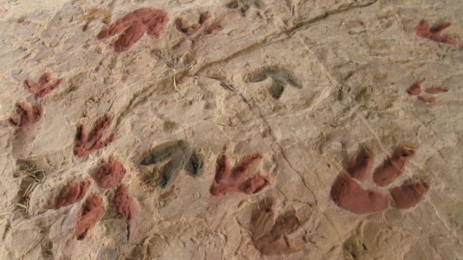 Petjades Jaciment de Corcolilla / Foto: Ereskhigal https://creativecommons.org/licenses/by-sa/4.0/deed.en