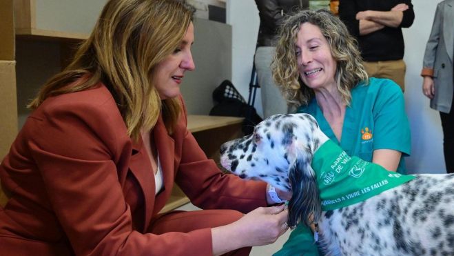 Mocador verd per als gossos en Falles