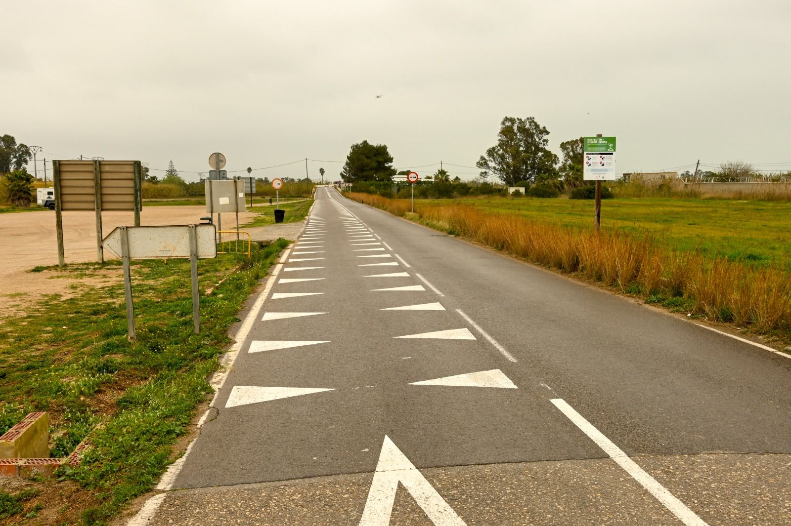 Dents de dragó en El Palmar - Ajuntament de València Dents de dragó en El Palmar - Ajuntament de València