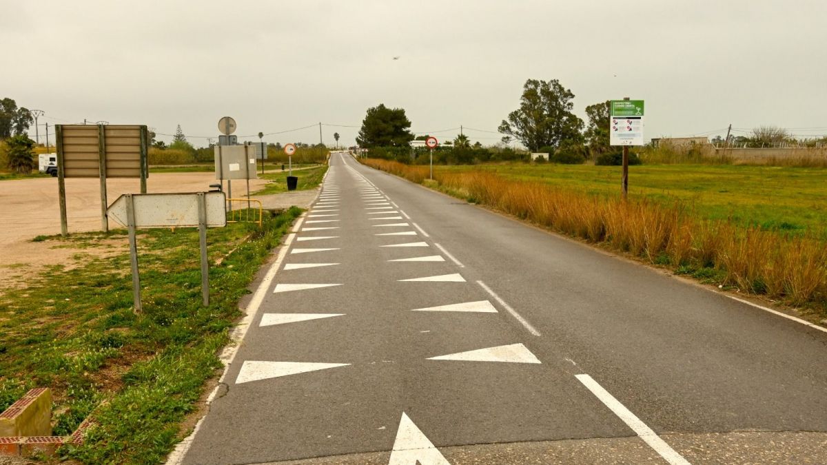 Dents de drac en El Palmar - Ajuntament de València