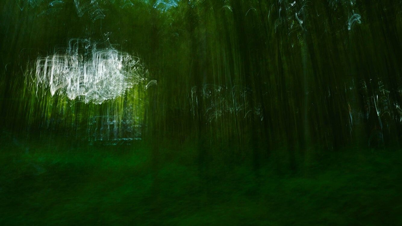 VerdeVerdad a les Atarazanas