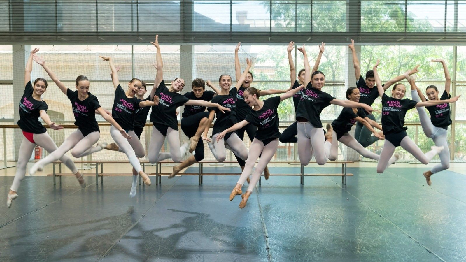 Dansa València. Dansa València.