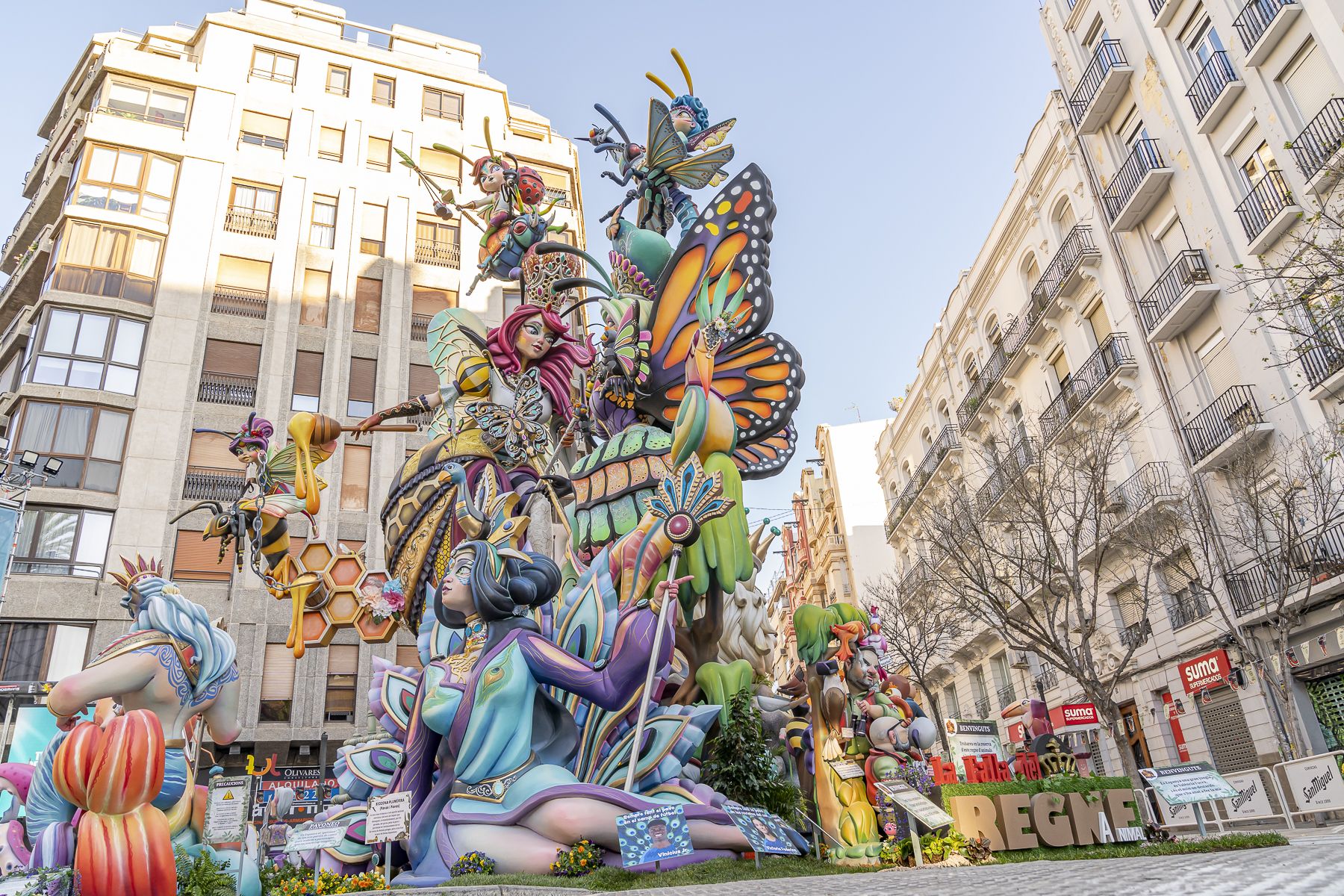 Falla Reino de Valencia 2026 / Foto: Xisco Navarro