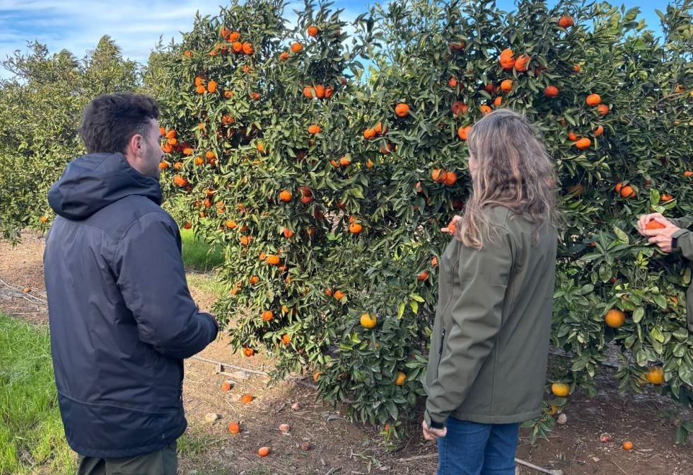 El proyecto 'N-Aqua-Fit' El proyecto 'N-Aqua-Fit'