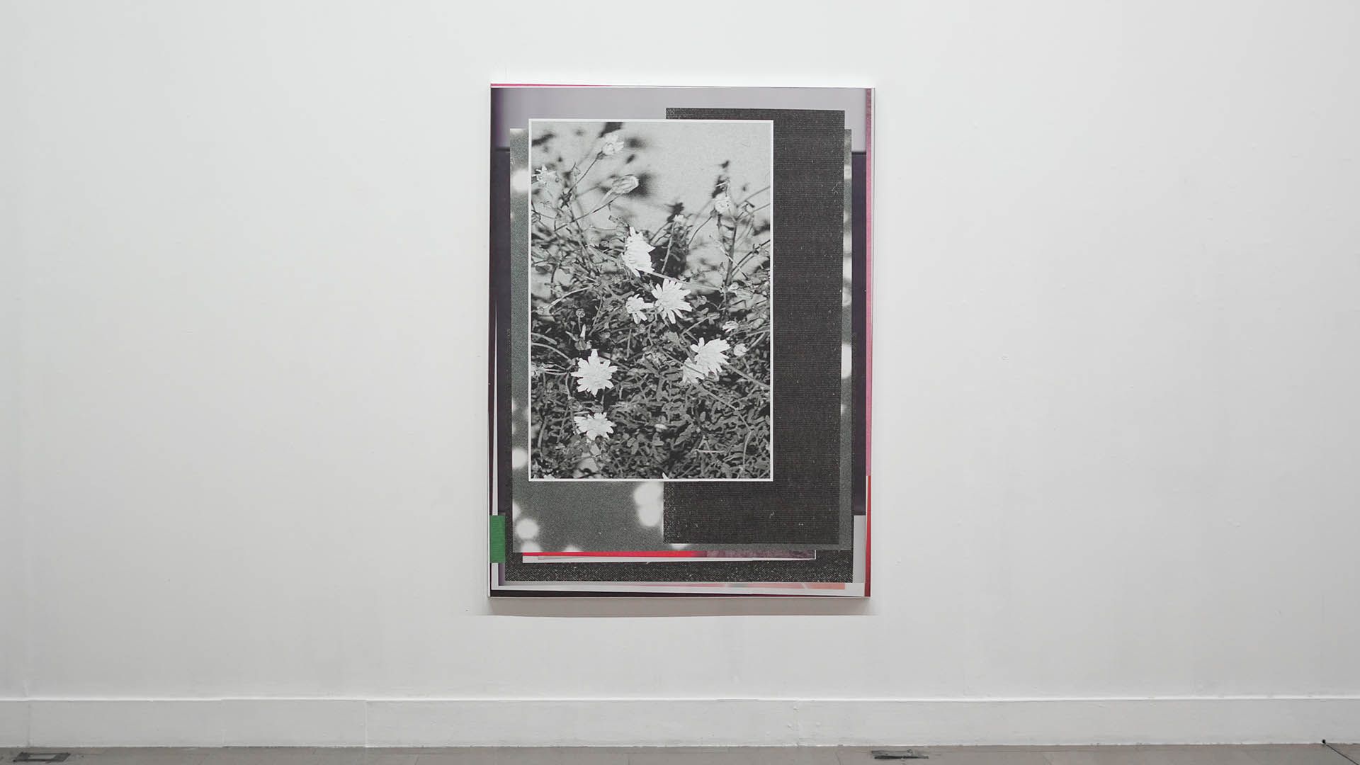 Exposició a Les Drassanes