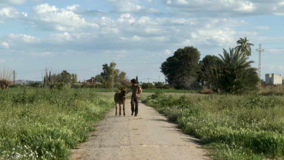Filmoteca de Valencia Filmoteca de Valencia