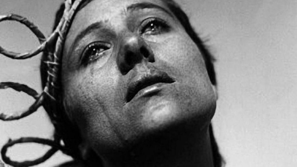 Cicle de Cinema de l'IVC Cicle de Cinema de l'IVC