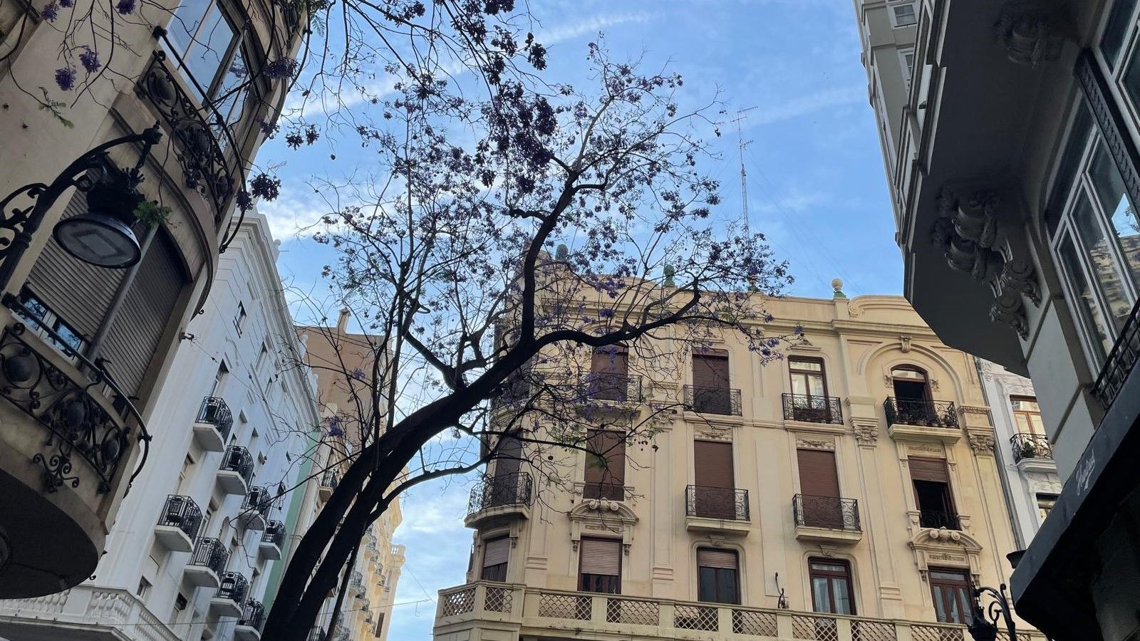 03580a99 a067 1449 10bc 994412c753ec?version=1