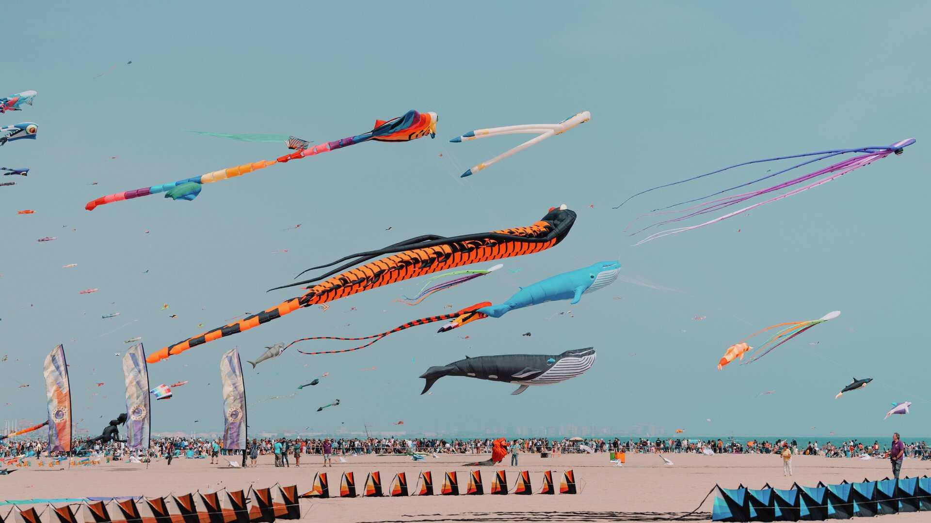 Cometas en la Playa del Cabanyal