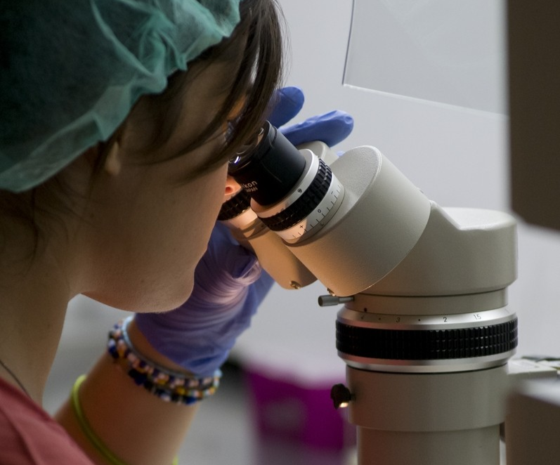 Investigación Fisabio