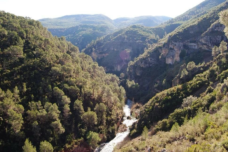 260401 MED foto bosque 260401 MED foto bosque