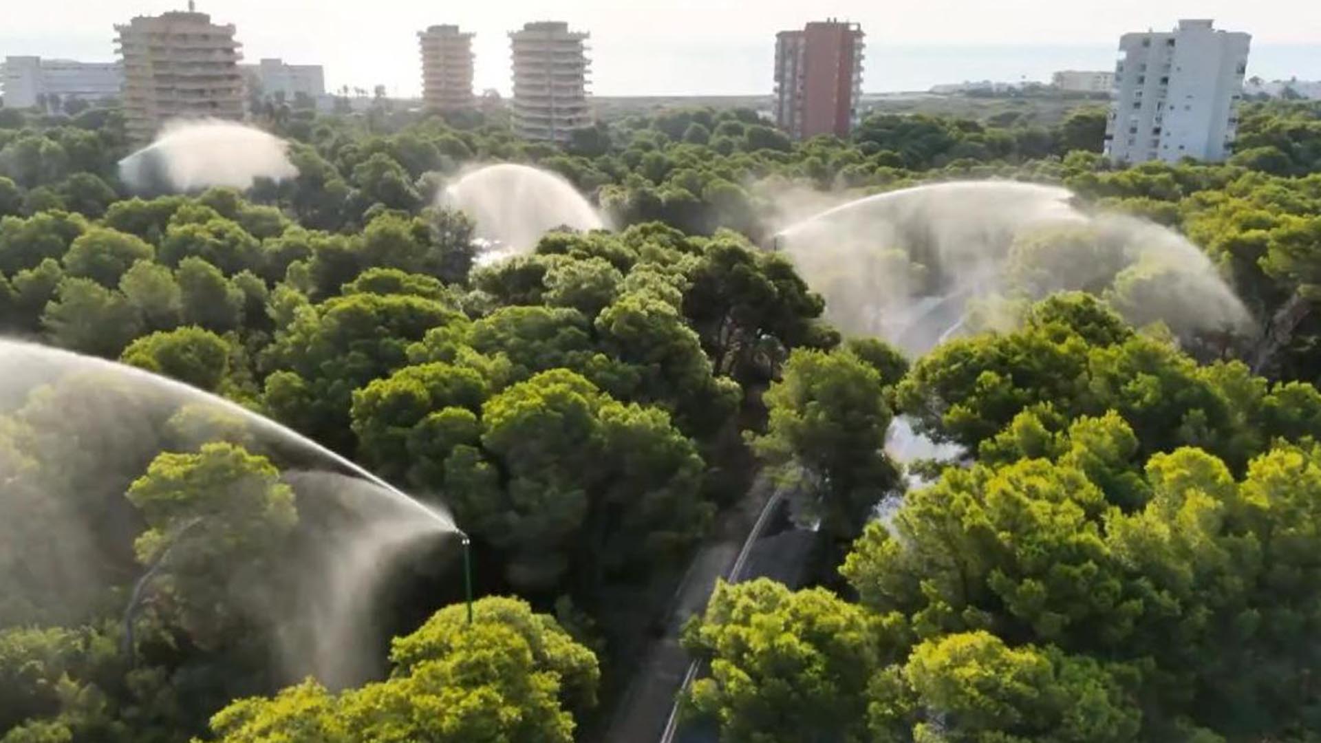 6b34997e 730e 1093 df6b 3b549db77766?version=1