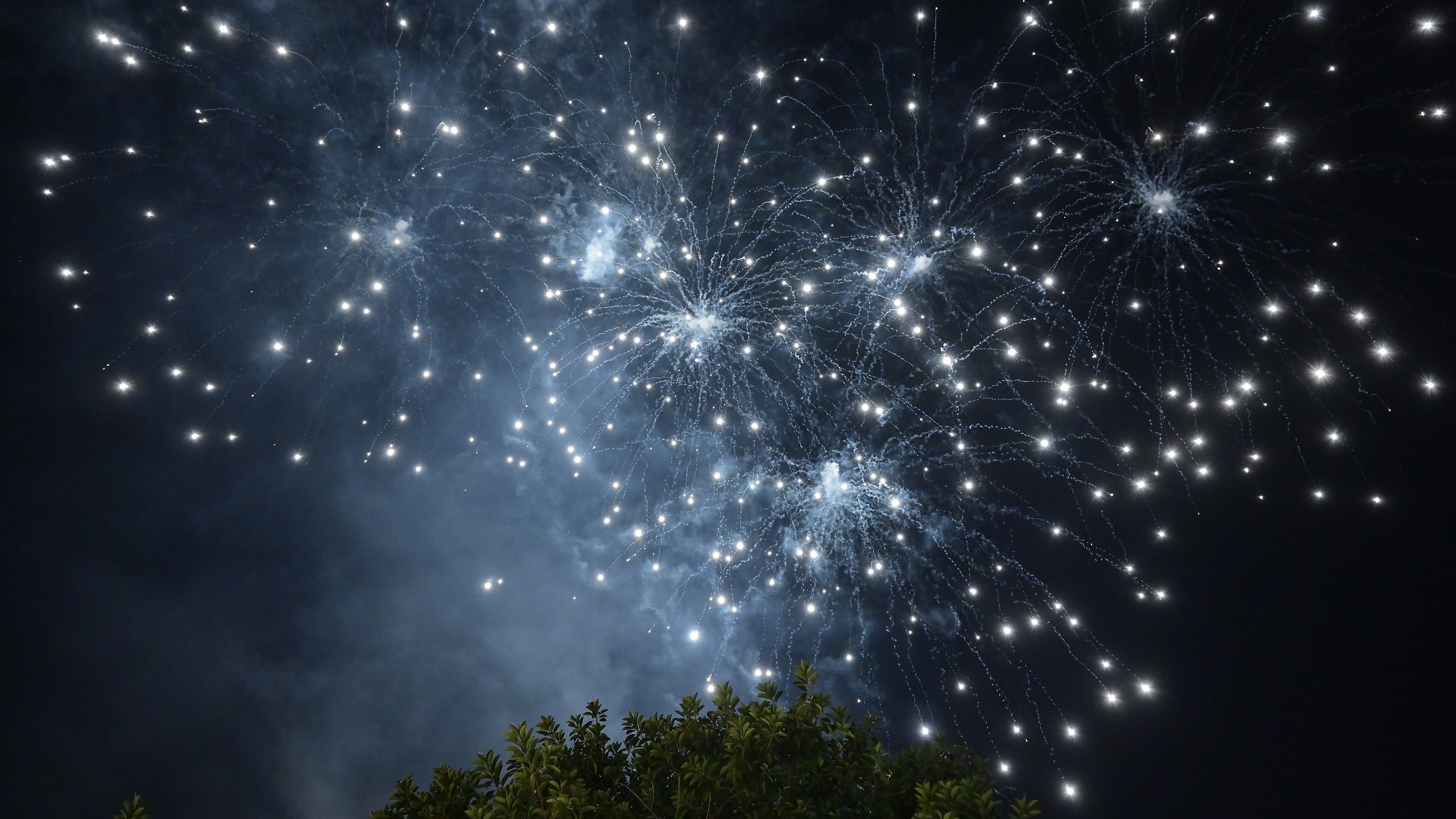 6518999e a862 184e 7183 3fb157118d31?version=1