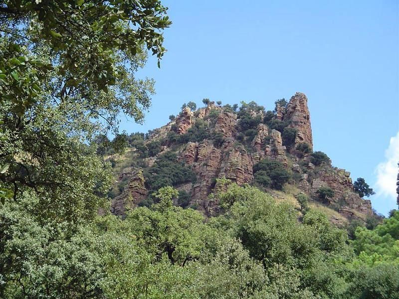 260407 MED ayudas prevenci%C3%B3n incendios 260407 MED ayudas prevenci%C3%B3n incendios