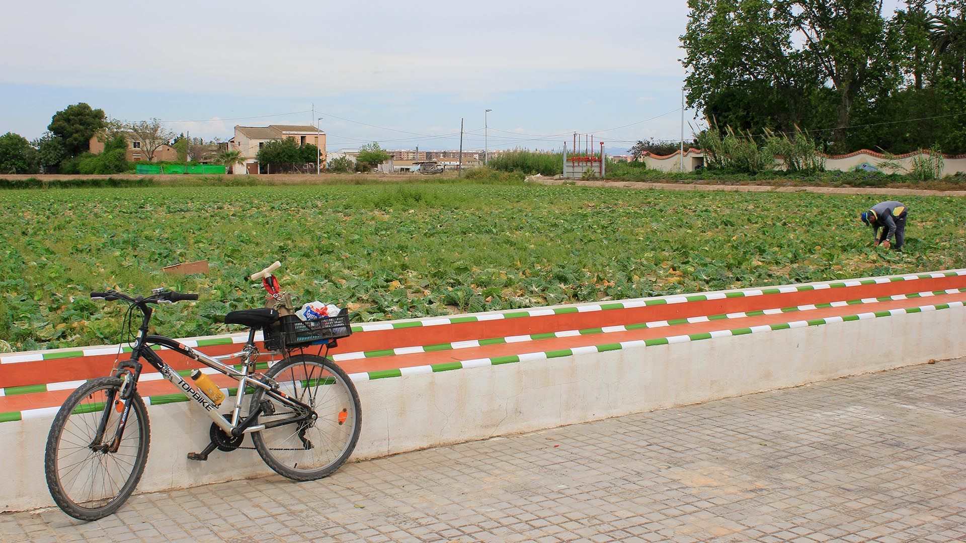 Ayudas para el sector ganadero