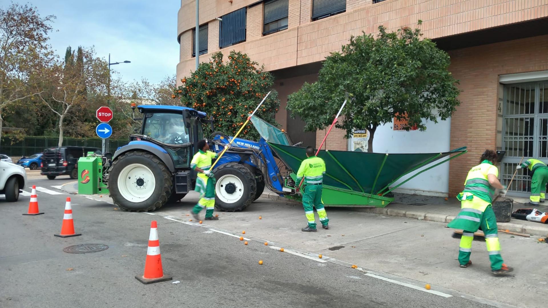 Limpieza de naranjos