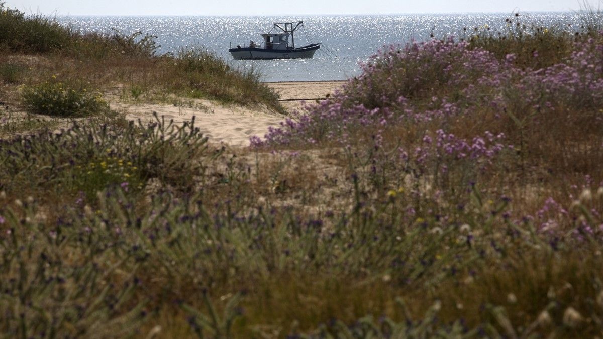 a8e30155 de75 2256 db58 93720eea1f0d?version=1