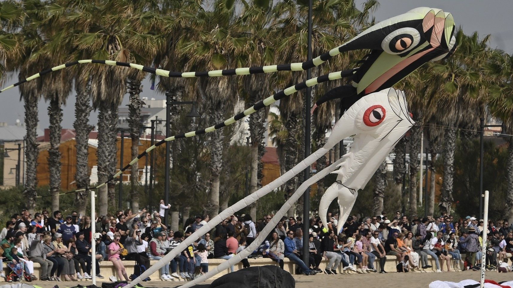 293ad439 b458 35f2 a987 f38c5bade26c?version=1