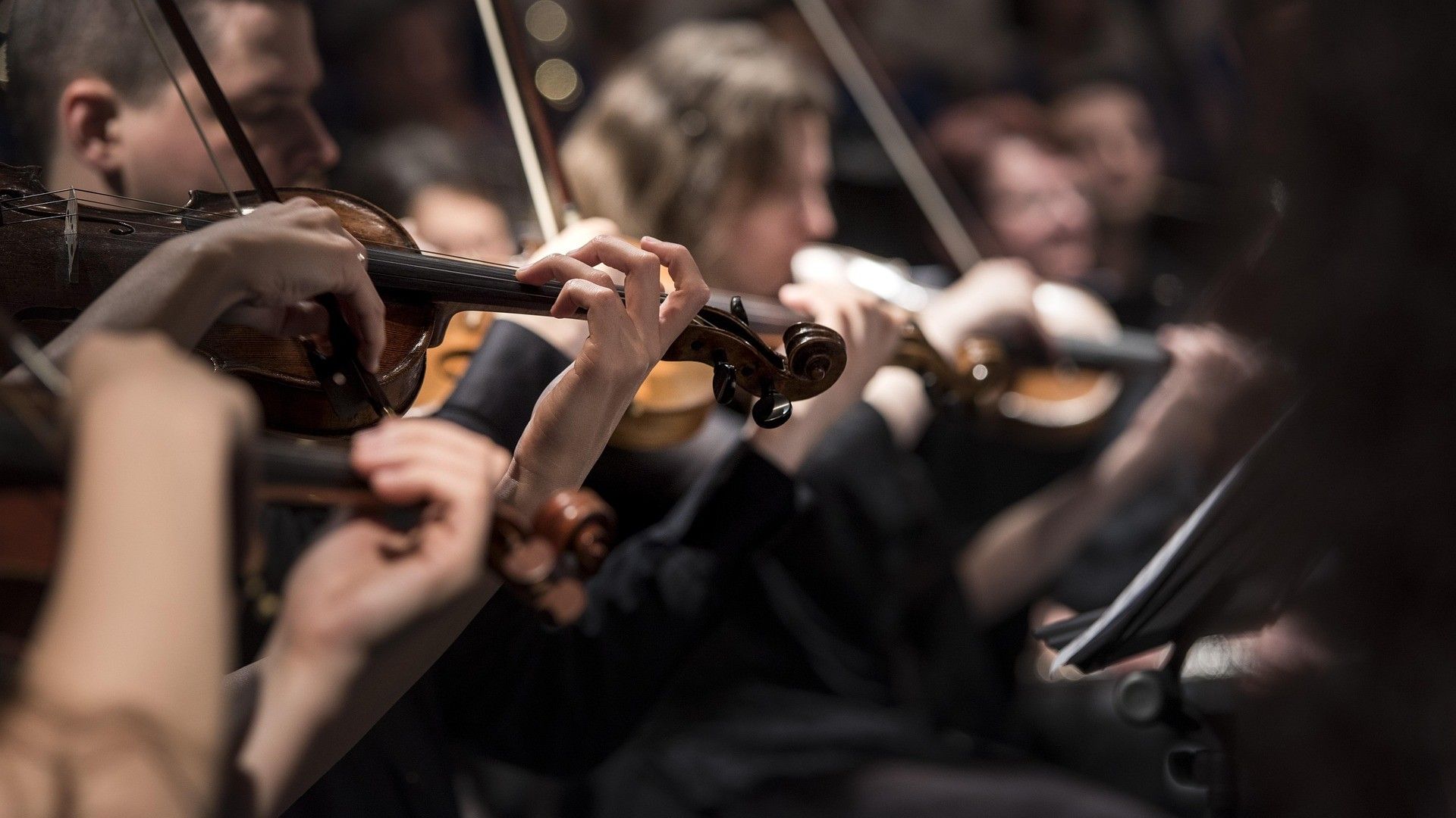 751852df e754 7563 e8c6 acb7a0d692db?version=1