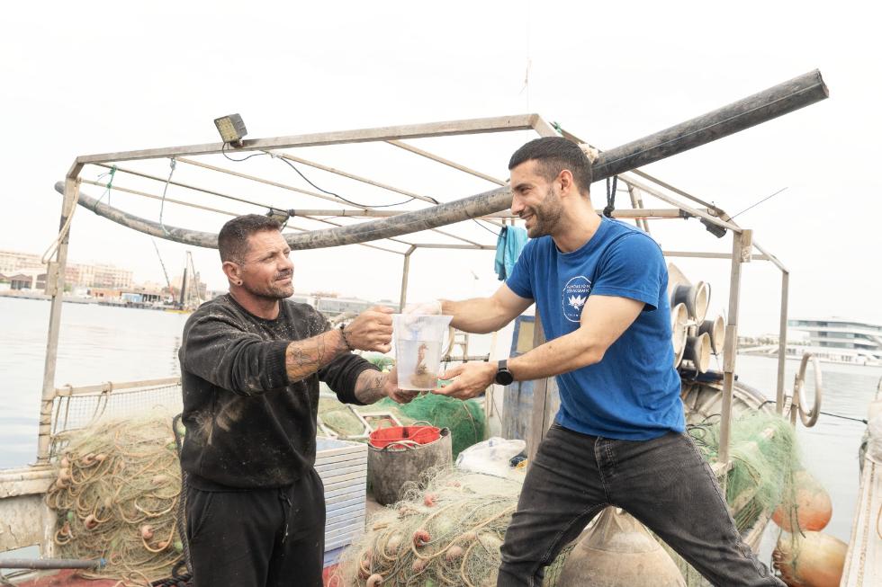 Conservación caballitos de mar