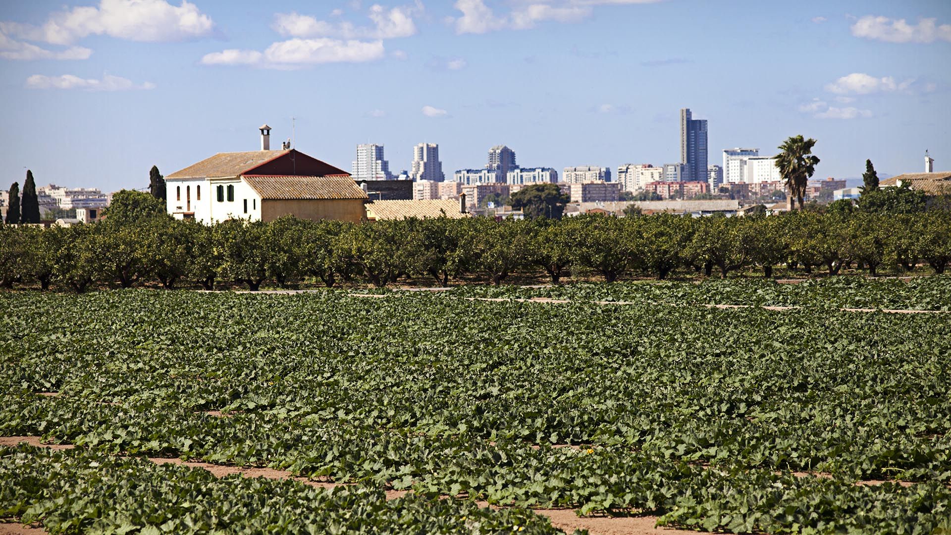 L'Horta de València
