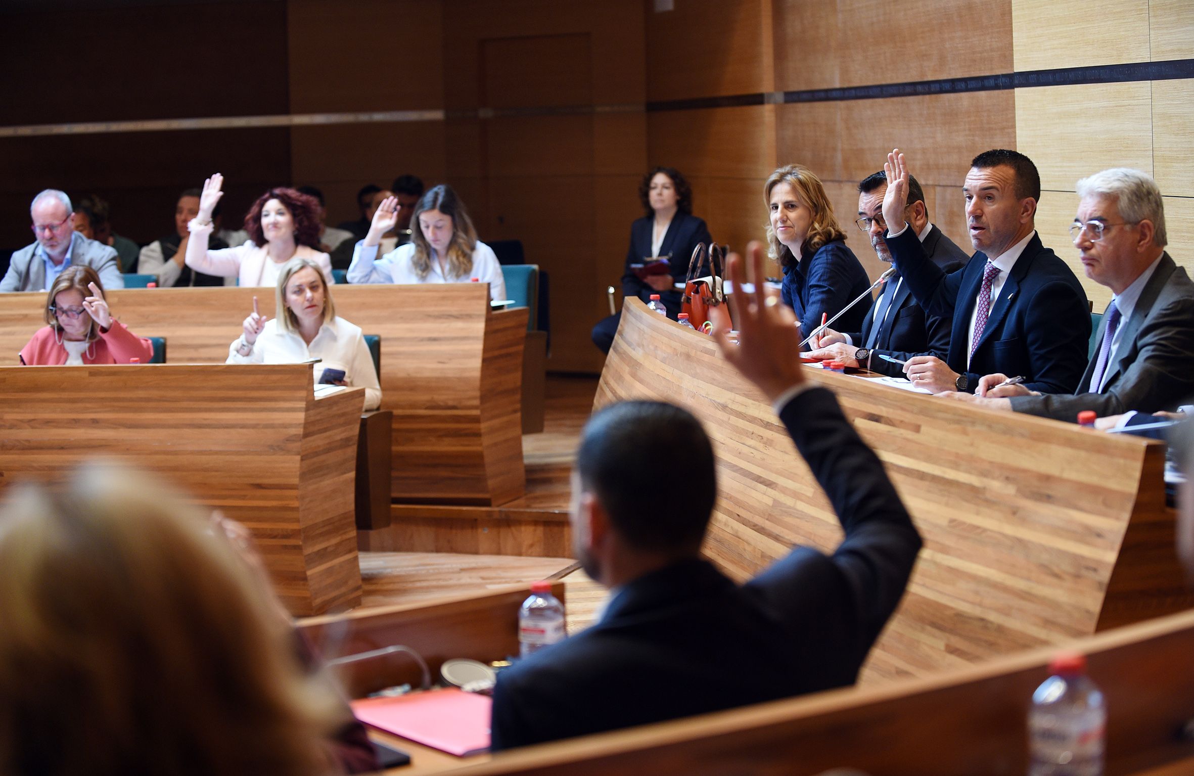 2 Pleno Diputación foto Abulaila (12)