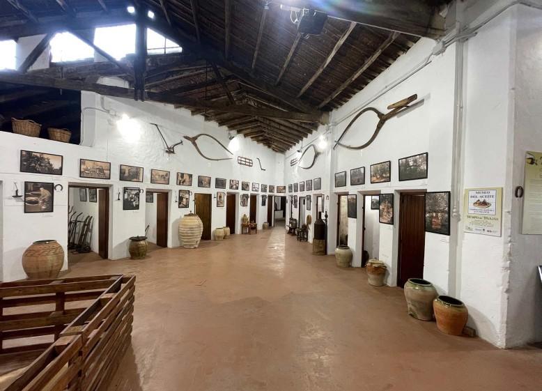 260430 EDUC Museos Altura