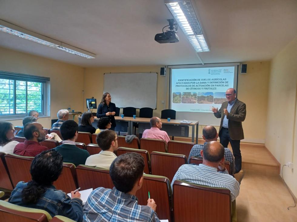 Estudi dels camps