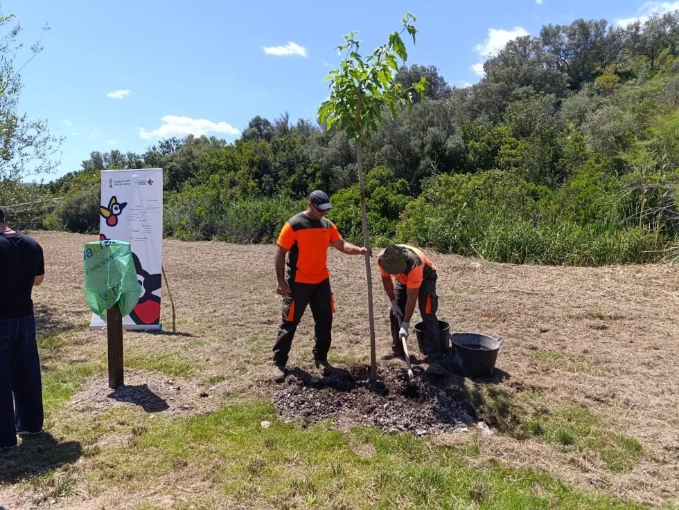 260520 VICE3 plantacion foto+1