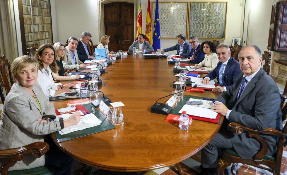 Ple del Consell